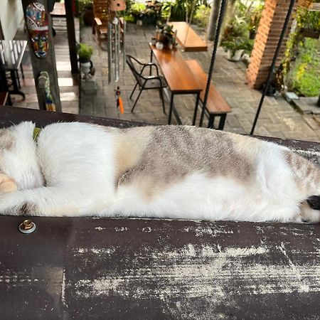 Krunou Baanpak Hotel Trat Bagian luar foto