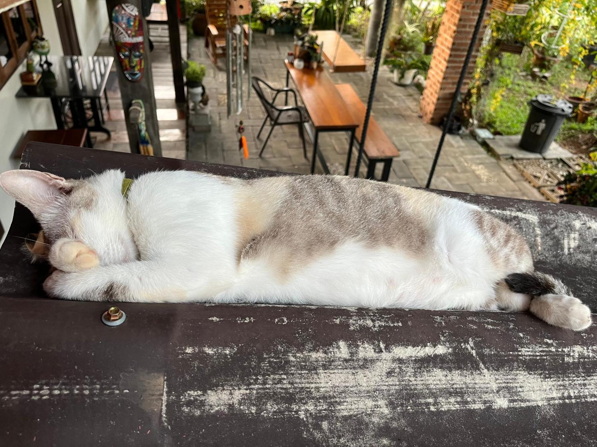 Krunou Baanpak Hotel Trat Bagian luar foto