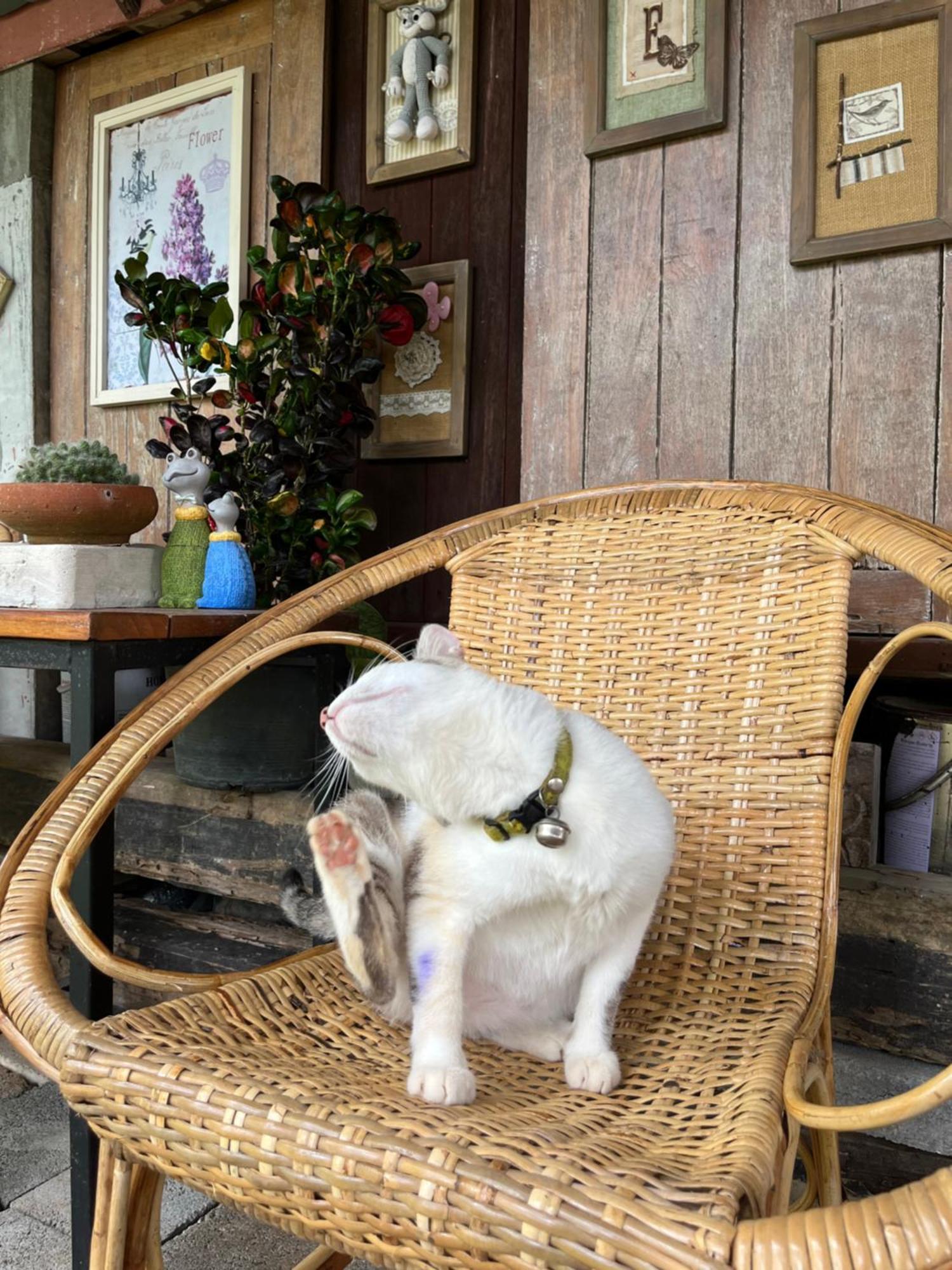 Krunou Baanpak Hotel Trat Bagian luar foto