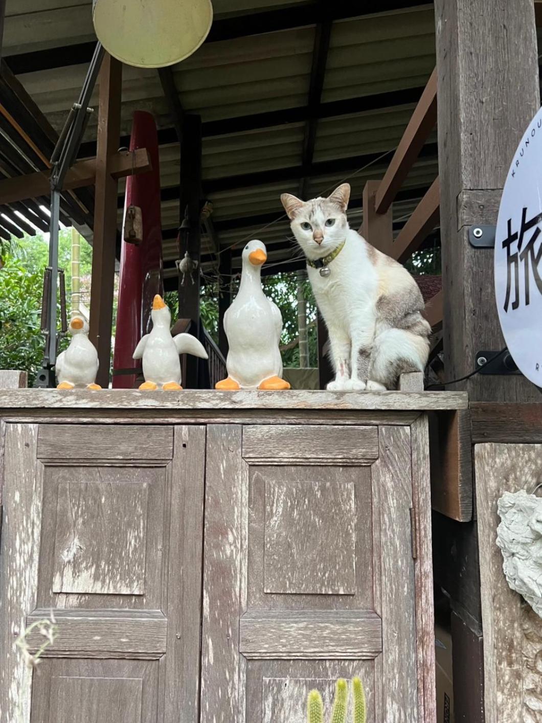 Krunou Baanpak Hotel Trat Bagian luar foto