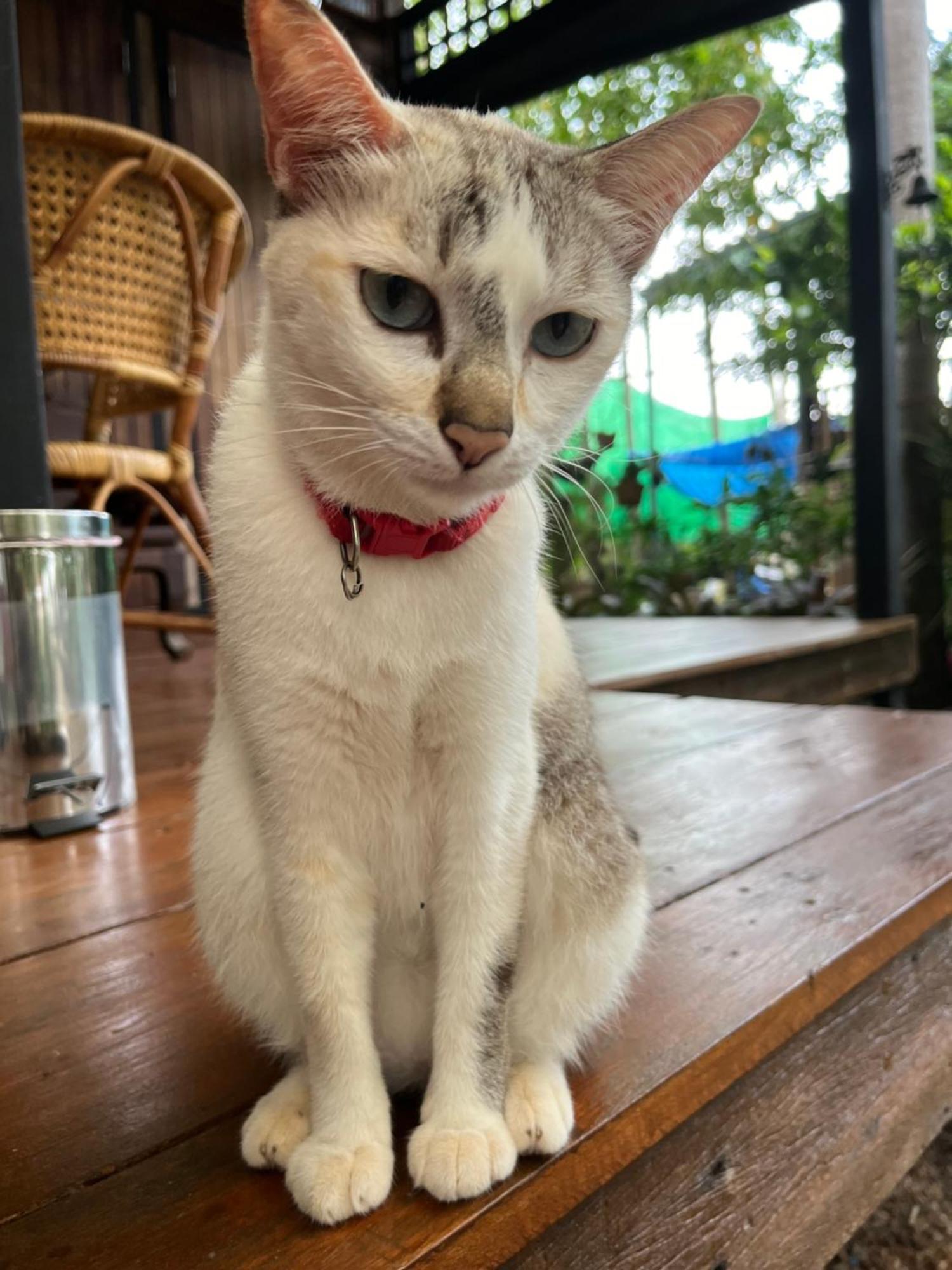 Krunou Baanpak Hotel Trat Bagian luar foto